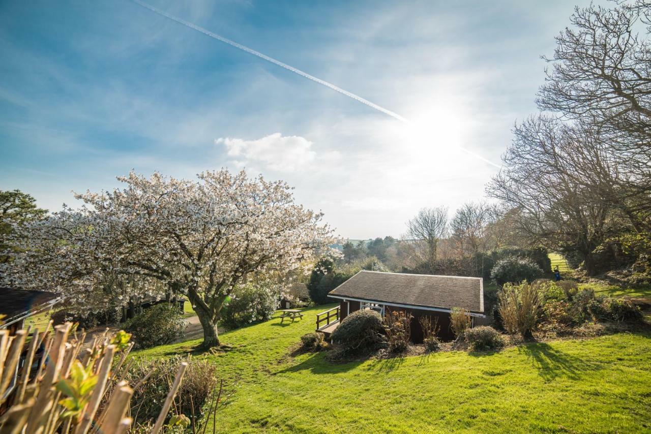 Timber Hill Self Catering Cedar Lodges Broad Haven Εξωτερικό φωτογραφία