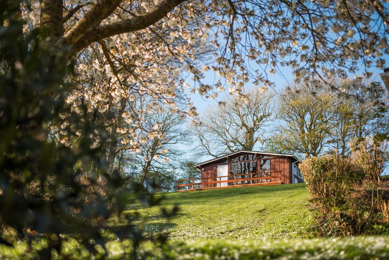 Timber Hill Self Catering Cedar Lodges Broad Haven Εξωτερικό φωτογραφία